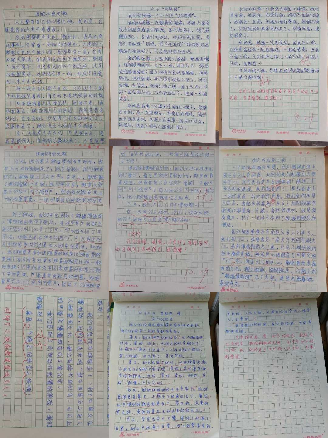我和書的故事作文_我與書法的故事作文800字_我與書之間的故事初中作文