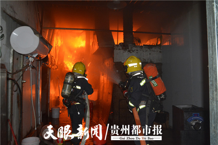 美國加州救贖山_新西蘭城堡山_新西蘭加州山火失控