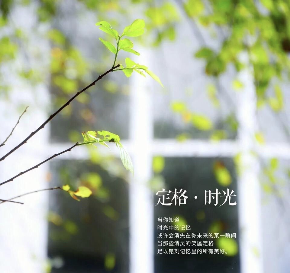 時(shí)光飛逝光陰如梭_光陰似箭歲月如梭_時(shí)光荏苒歲月亦如梭詩