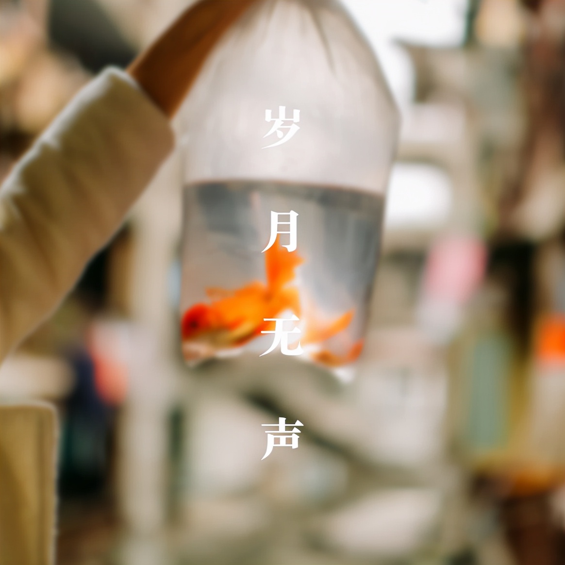 時(shí)光飛逝光陰如梭_光陰似箭歲月如梭_時(shí)光荏苒歲月亦如梭詩