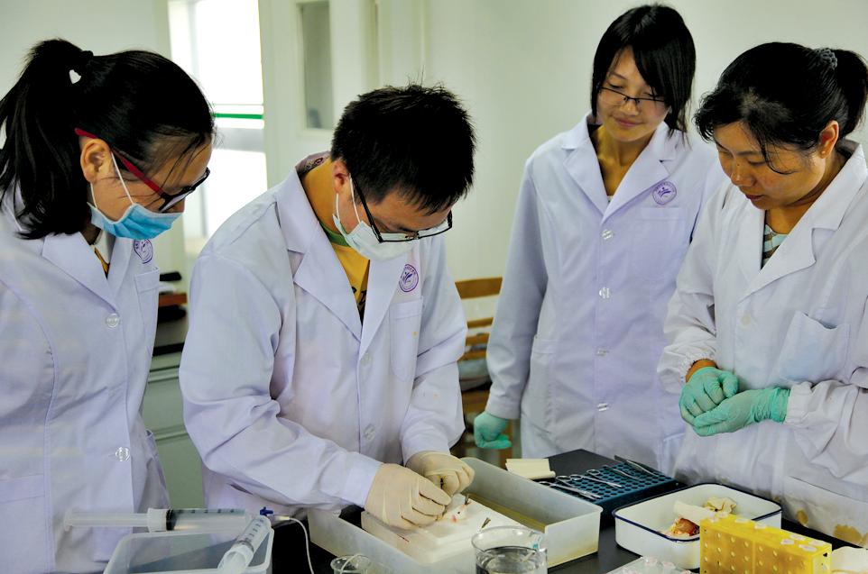 四川公辦二本大學文科_廣東二本公辦學校有哪些大學_公辦二本大學