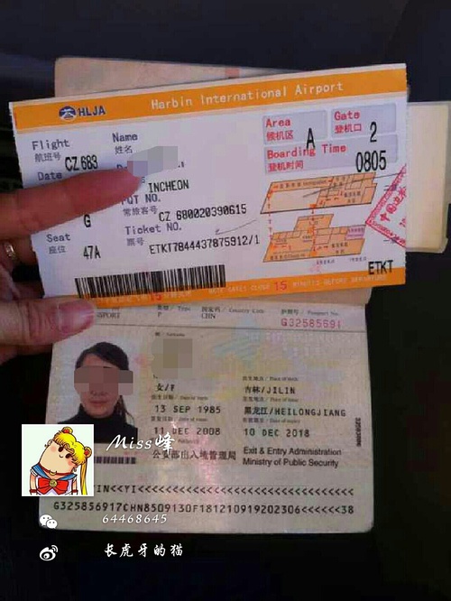 韓國簽證辦理_如何查詢韓國簽證辦理進度_如何辦理韓國簽證
