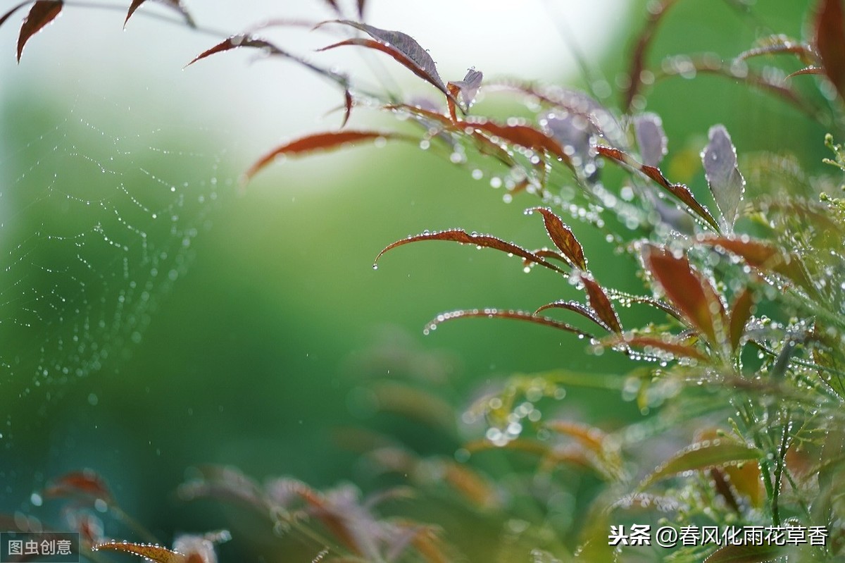 仿寫何其芳《秋天》_秋天 何其芳 仿寫_秋天的雨仿寫第二段