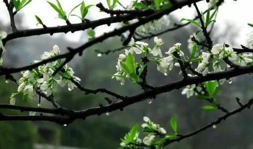 仿寫何其芳《秋天》_秋天 何其芳 仿寫_秋天的雨仿寫第二段
