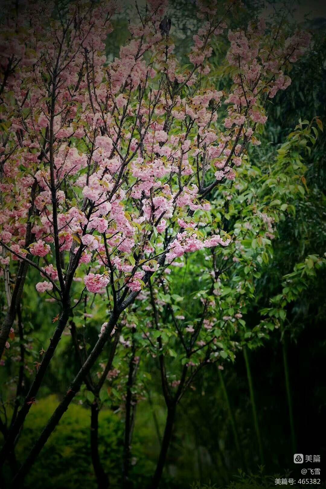 秋天的雨仿寫第二段_秋天 何其芳 仿寫_仿寫何其芳《秋天》