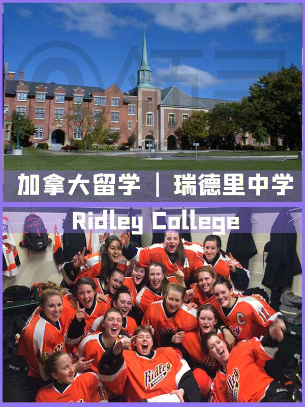 清華-伯克利深圳學院_馬來西亞伯克利音樂學院_清華大學伯克利學院