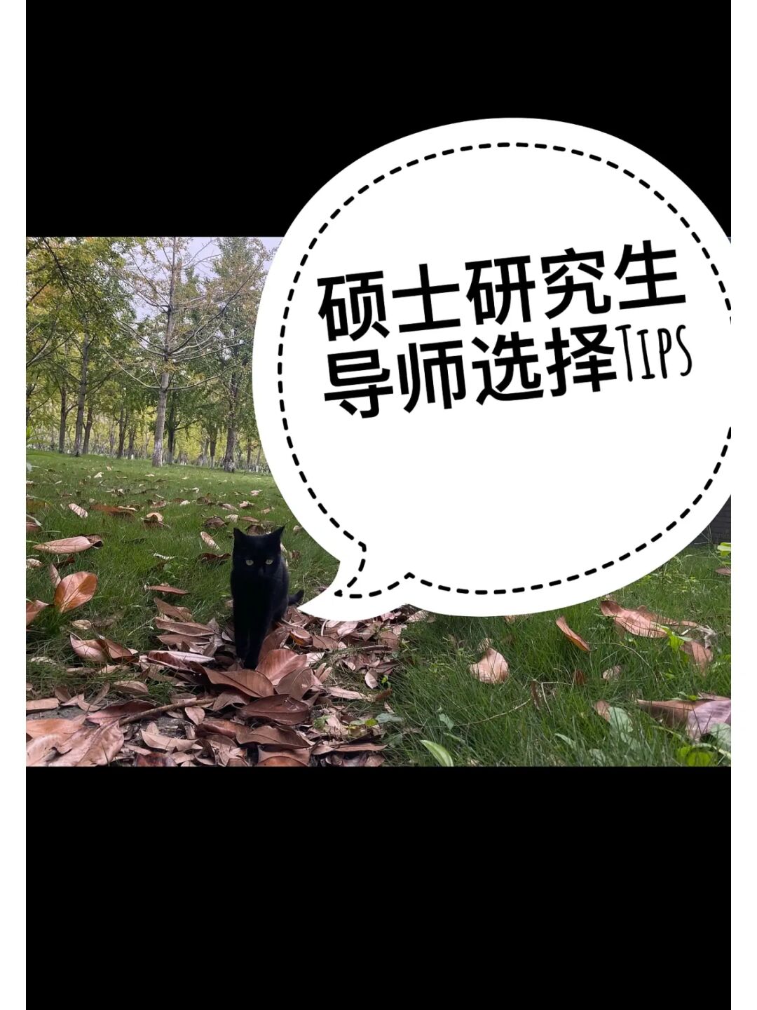 提高釣蘭刀上鉤率技巧_考研復試通過率高嗎_中山大學法碩復試刷人