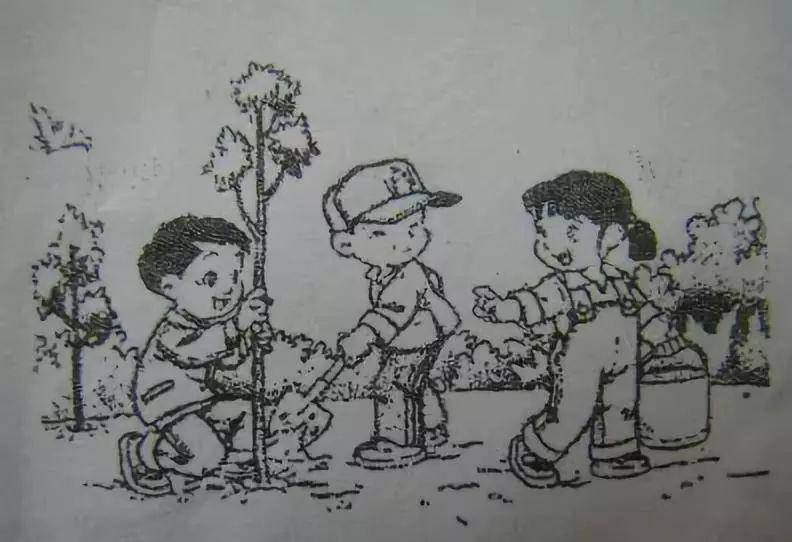 二年級植樹節看圖寫話_一年級看圖寫話植樹2人_二年級看圖寫植樹作文