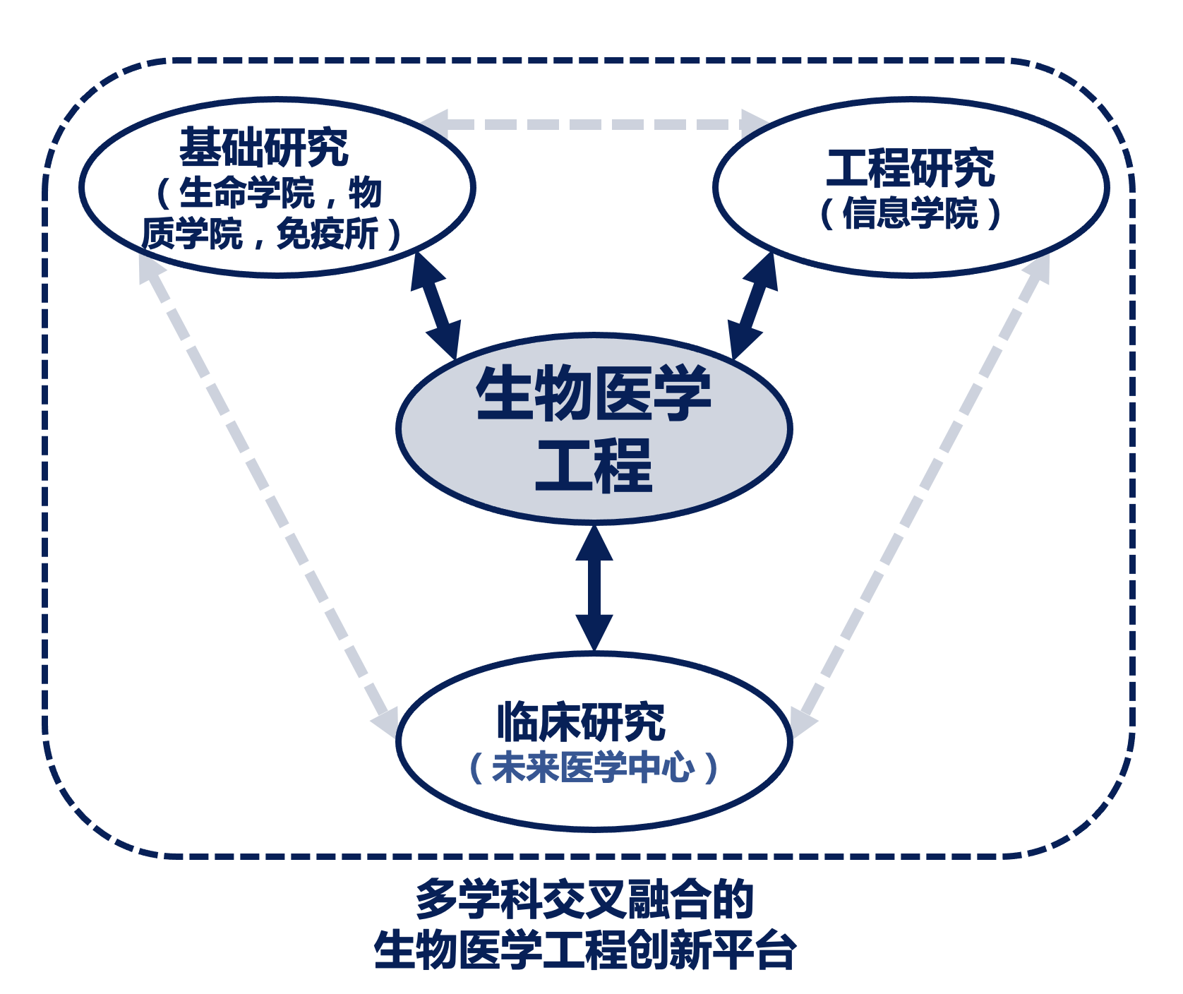 生物工程排名_生物醫(yī)學(xué)工程排位_考研生物醫(yī)學(xué)工程排名