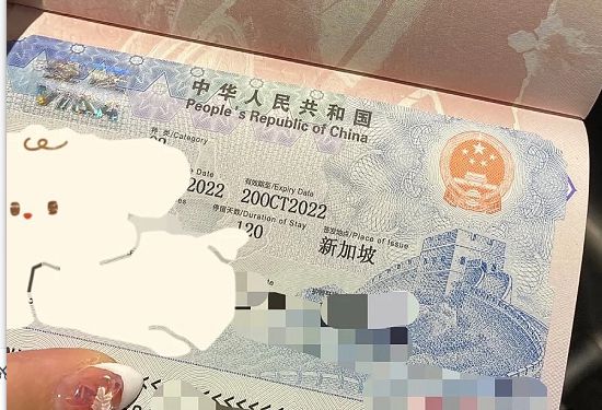 新加坡椰子鞋專賣店在哪里_新加坡簽證狀態查詢_新加坡哪里有賣椰子350