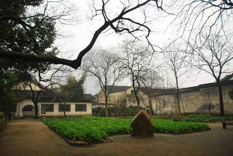 仿寫百草園到三味書屋的_百草園到三味書屋7段仿寫_仿寫從百草園到三味書屋