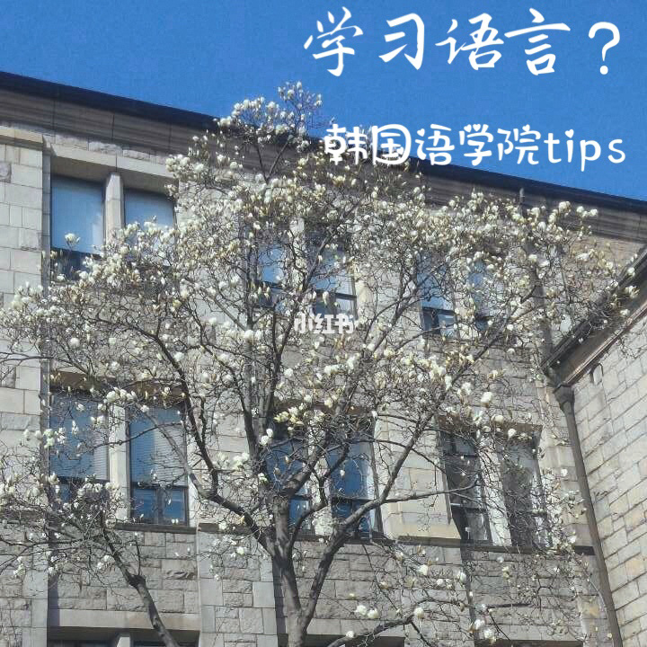 isi日本語言學校_日本語言學校避雷_日本語言學校kij