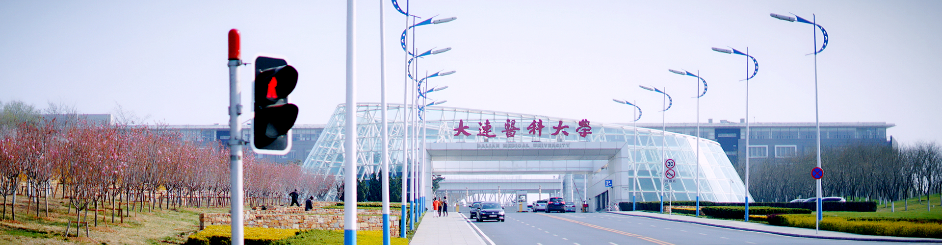 大連理工大學城市學院地址_大連理工學院在什么區_大連理工大學學院名稱