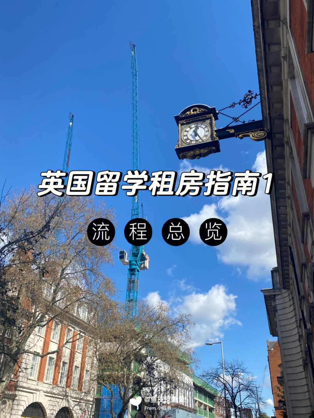 留學租房新加坡多少錢_新加坡留學如何租房_留學租房新加坡怎么租