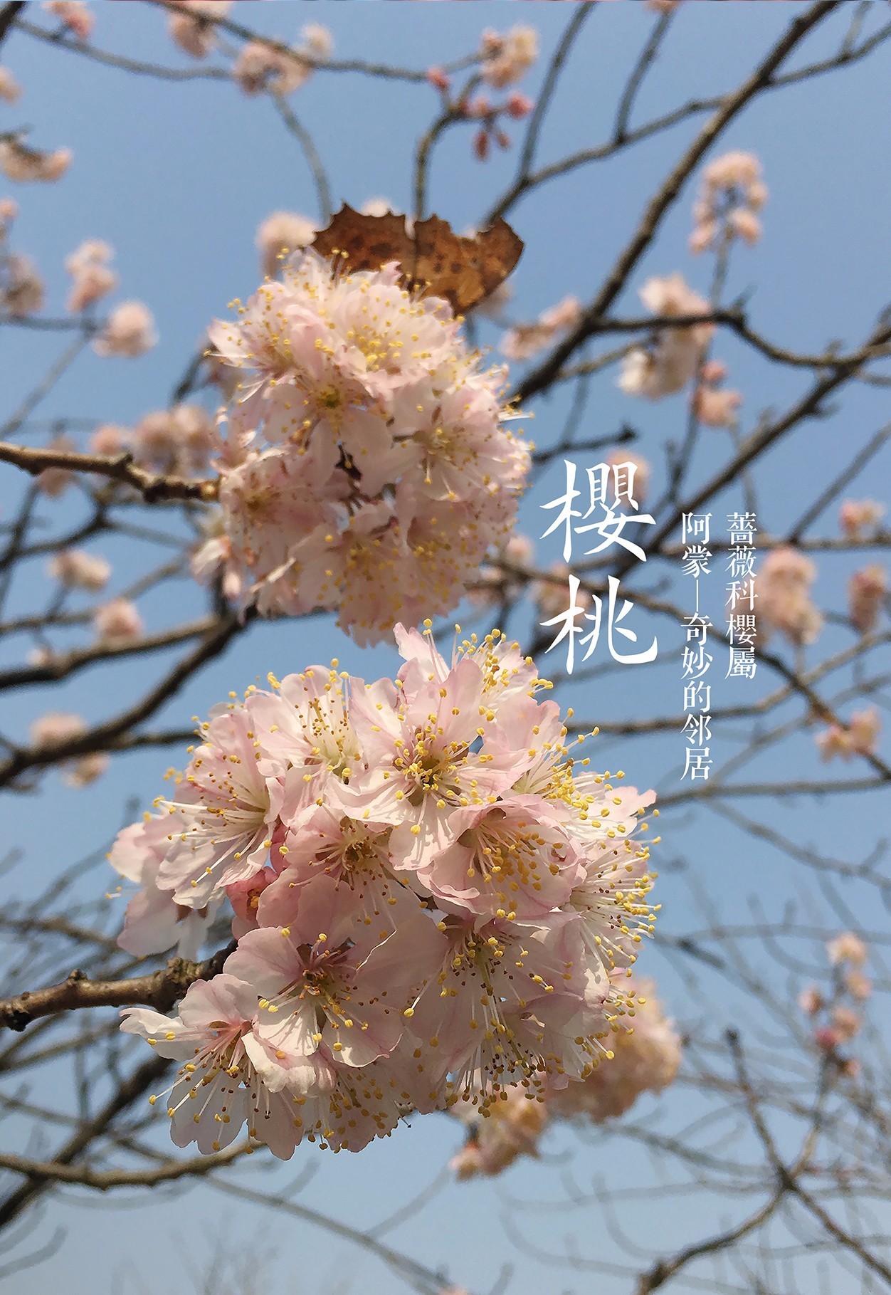 誠信與善意的謊言辯論會_謊言辯論善意誠信會怎么樣_辯論善意的謊言和誠信