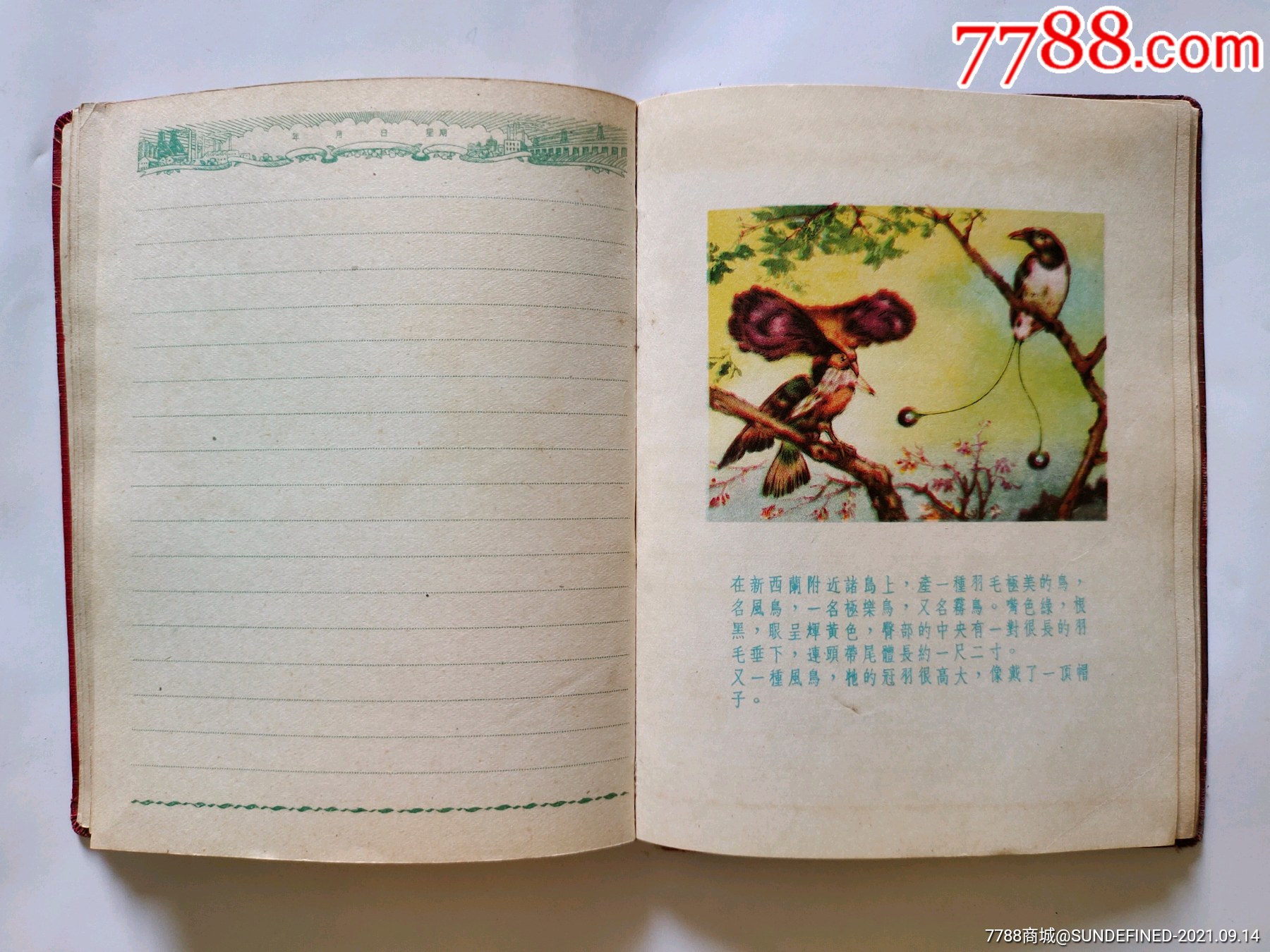 科學(xué)技術(shù)弊大于利_科學(xué)技術(shù)利弊總結(jié)_科學(xué)技術(shù)的利與弊
