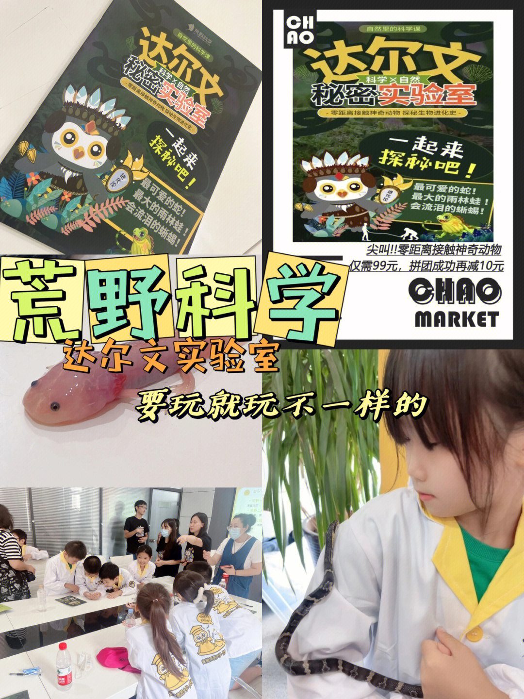 成都中學學校排名_成都排名中學學校前十名_成都排名中學前十