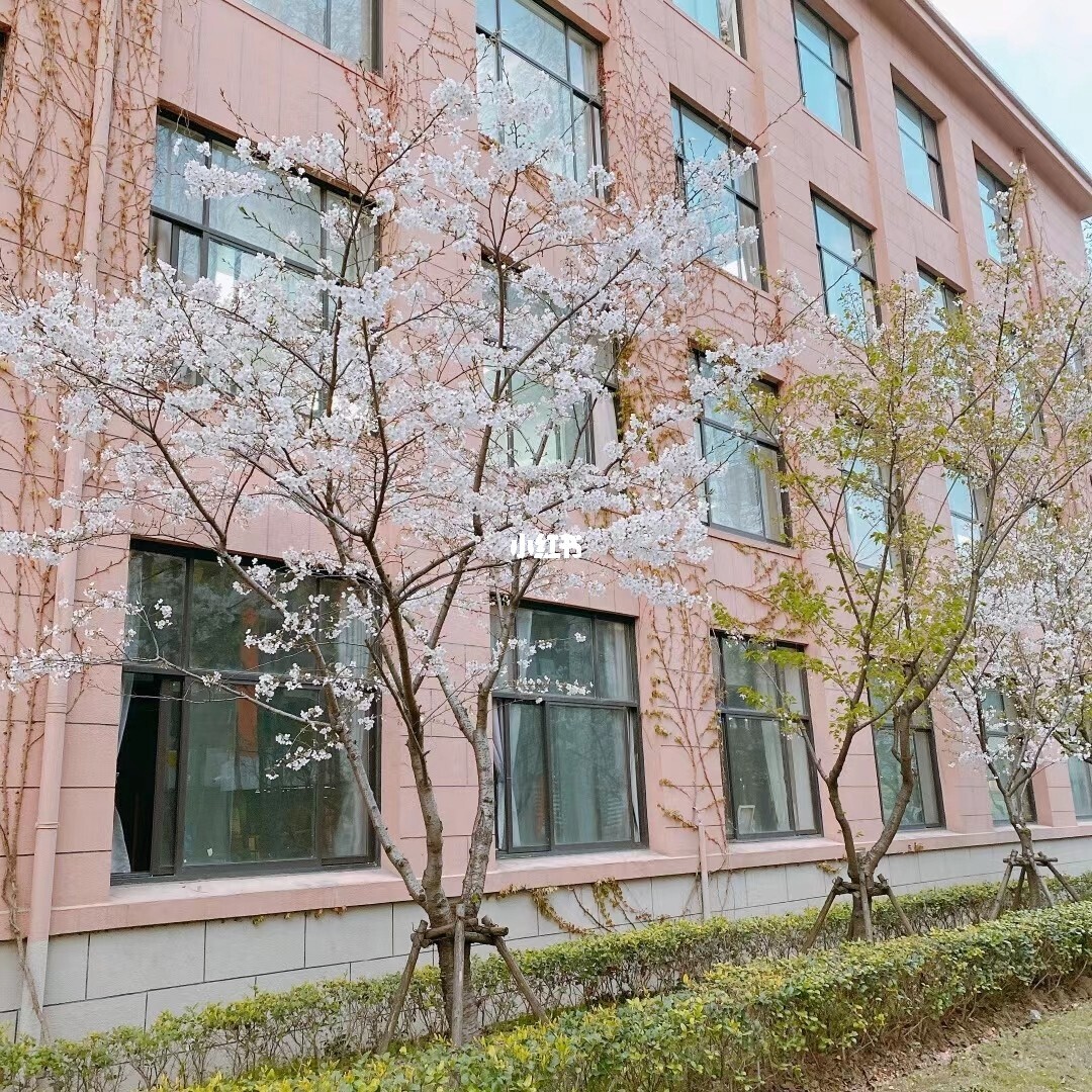 上海師范學院大專_上海師范大學專科_上海師范大學專科專業有哪些