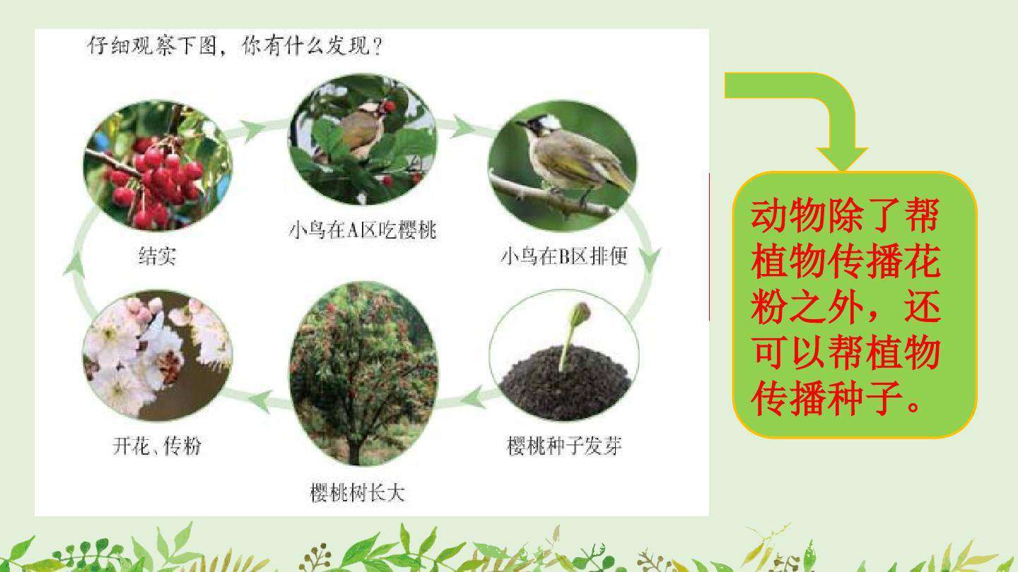 柳樹媽媽傳播種子的_柳樹媽媽傳播種子仿寫_仿寫柳樹媽媽傳播種子的辦法