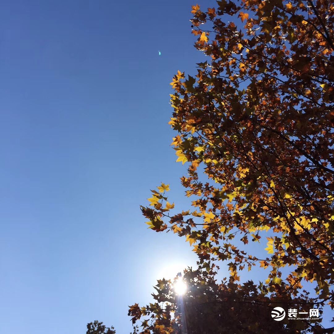 陽光燦爛的冬日寫一段話_冬日最燦爛的陽光_冬日里最燦爛的陽光