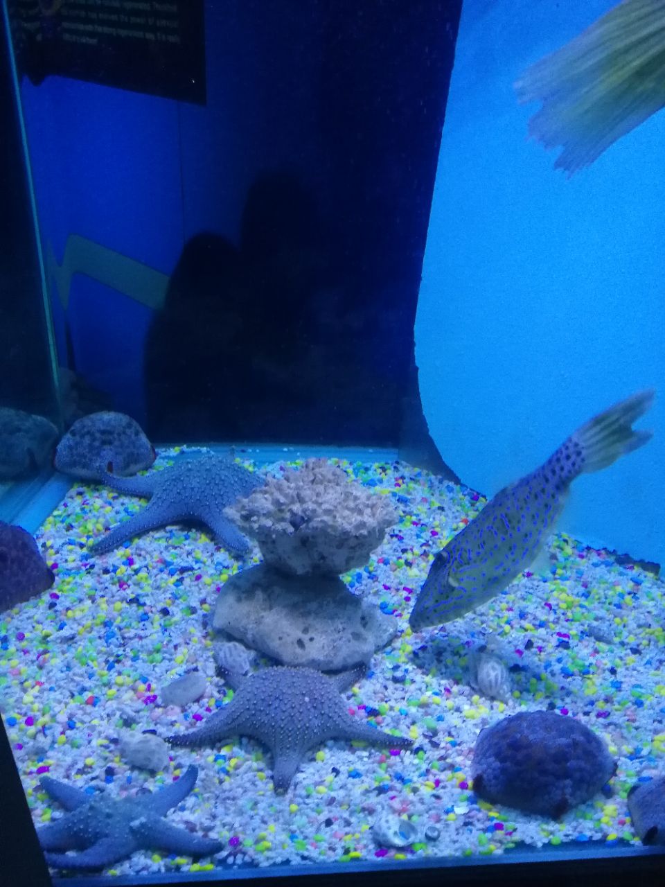 蓬萊極地海洋世界_蓬萊極地海洋世界門票價格_蓬萊極地海洋世界游玩攻略