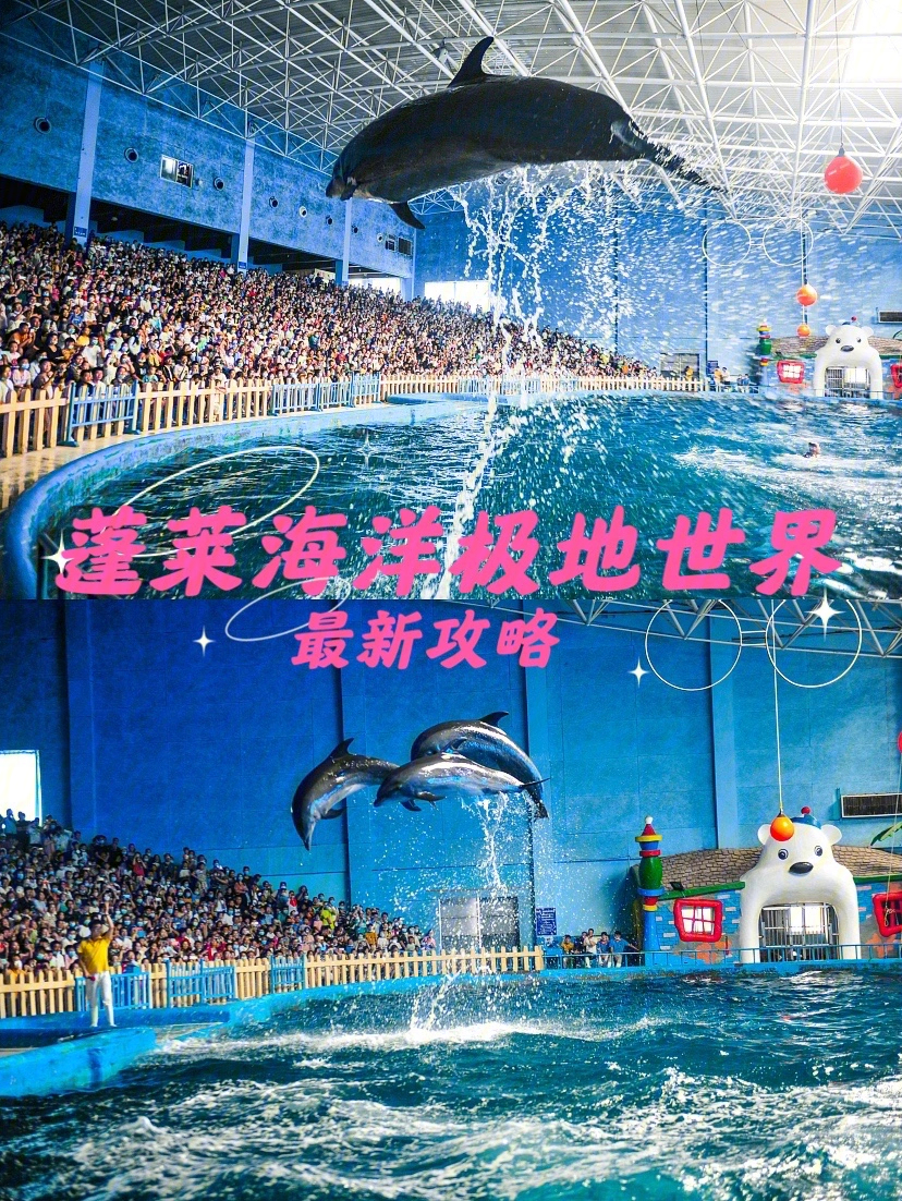 蓬萊極地海洋世界門票價格_蓬萊極地海洋世界_蓬萊極地海洋世界游玩攻略