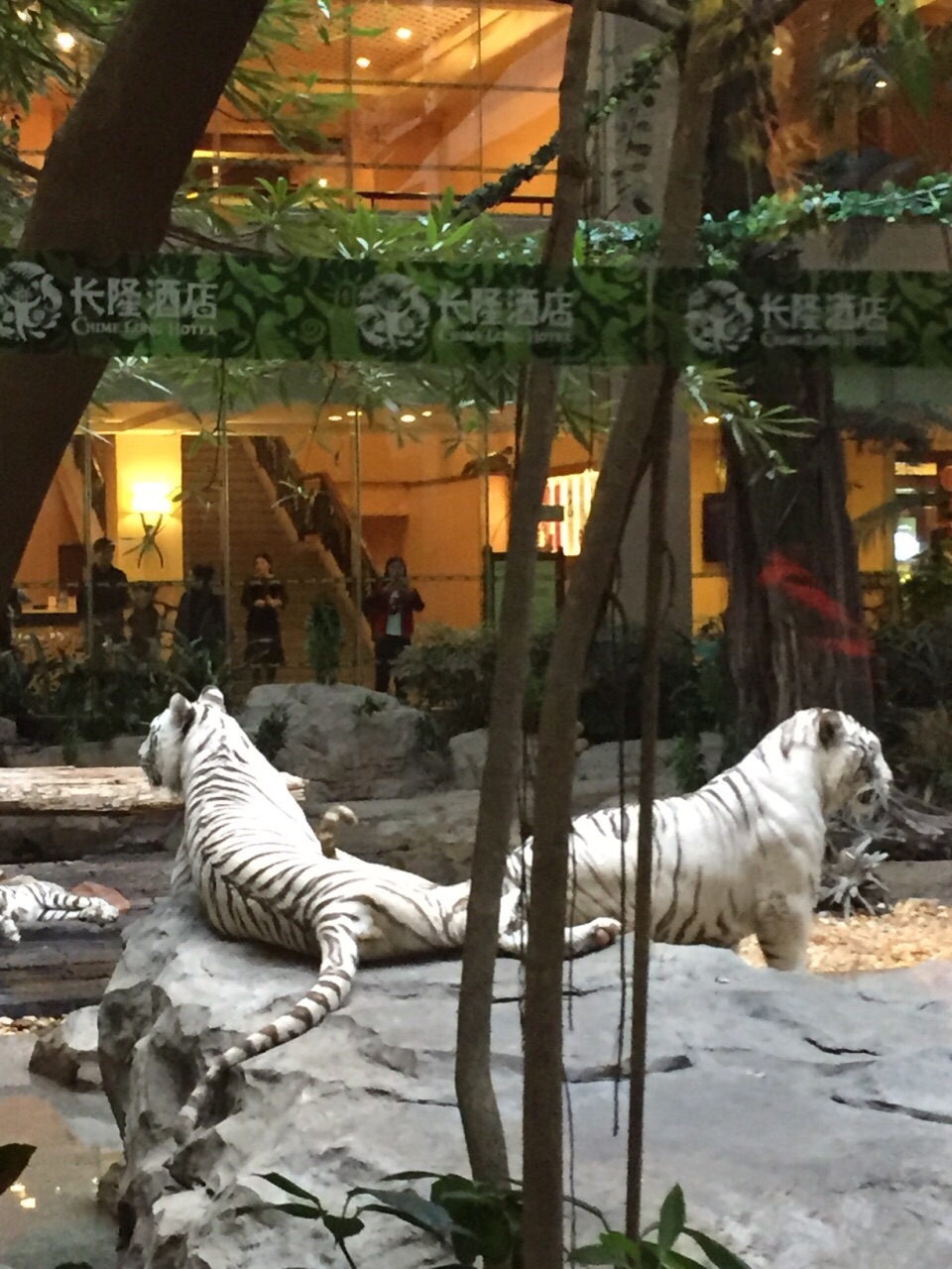 香江野生動物園攻略_香江野生動物園票價2021_香江野生動物園自駕車攻略
