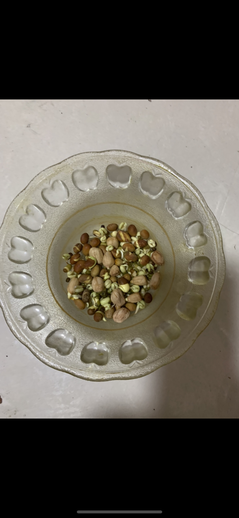 綠豆芽的生長過程觀察日記_觀察豆芽日記300字_豆芽發芽過程觀察日記