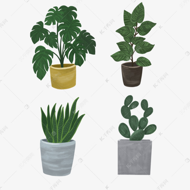 畫圖軟件裁剪粘貼技巧_葉子粘貼海底世界_葉子畫圖片大全 粘貼