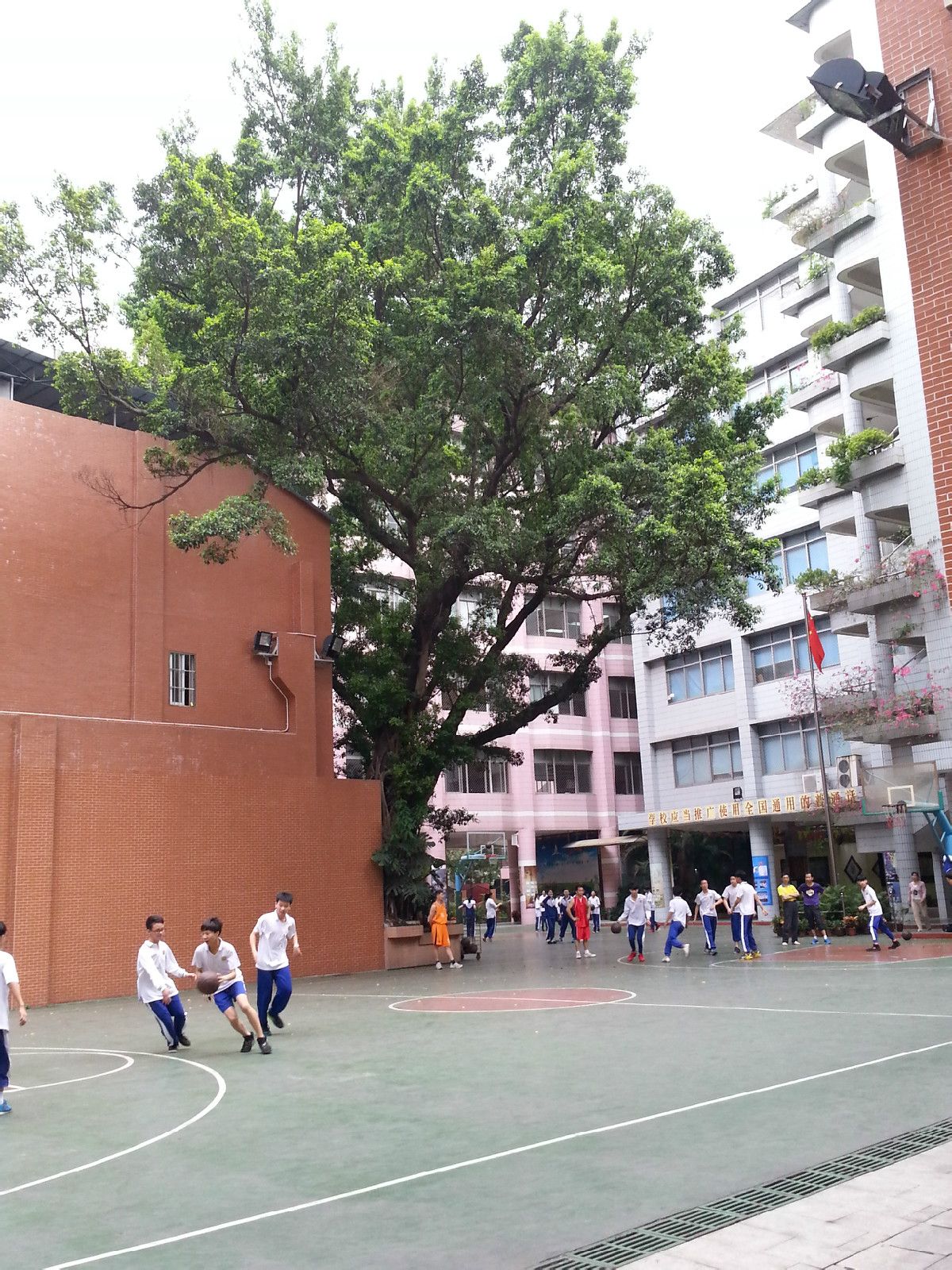 北京印刷學院研究生吧_中山大學研究生院_海南省研究培訓院