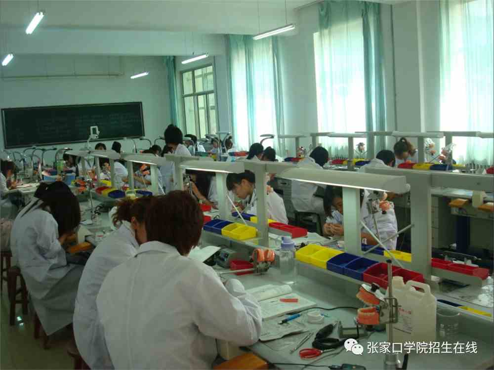 昆明理工大學城市學院信息服務平臺_昆明理工城市學院地址_昆明理工津橋學院專業