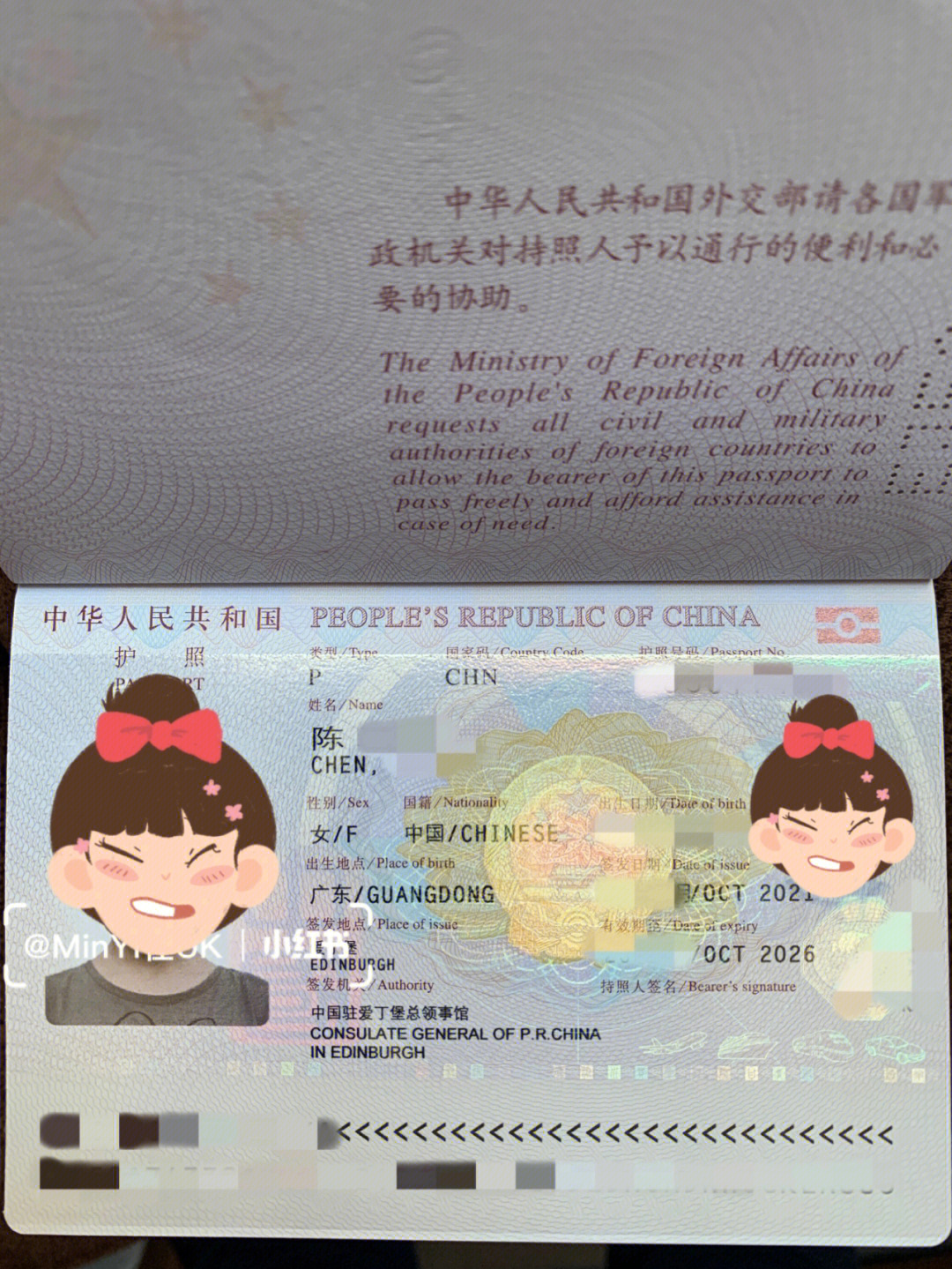 簽證結果查詢官方網站_簽證結果查詢_非州簽證進度查詢