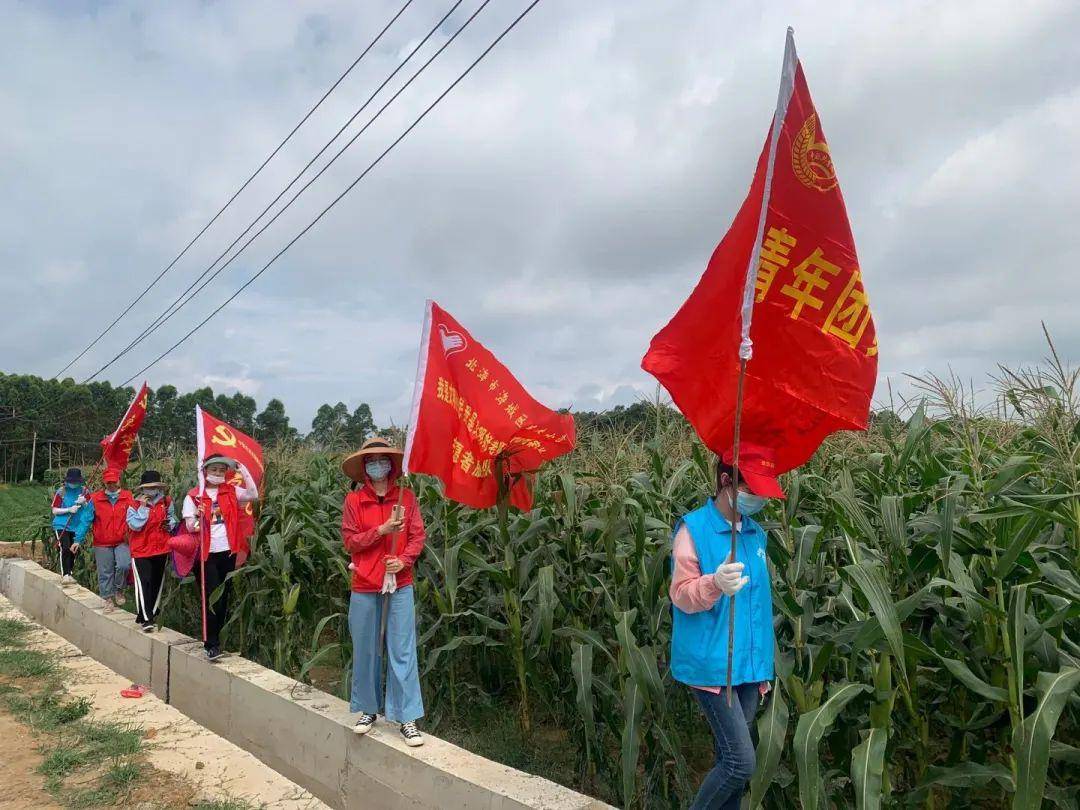 獲全省脫貧攻堅先進表彰_脫貧攻堅表彰大會觀后感_脫貧攻堅表彰