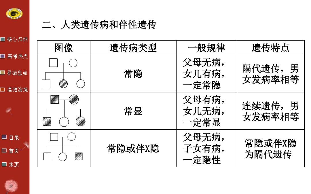 細胞核的結構_細胞核結構圖手繪_細胞核結構模型