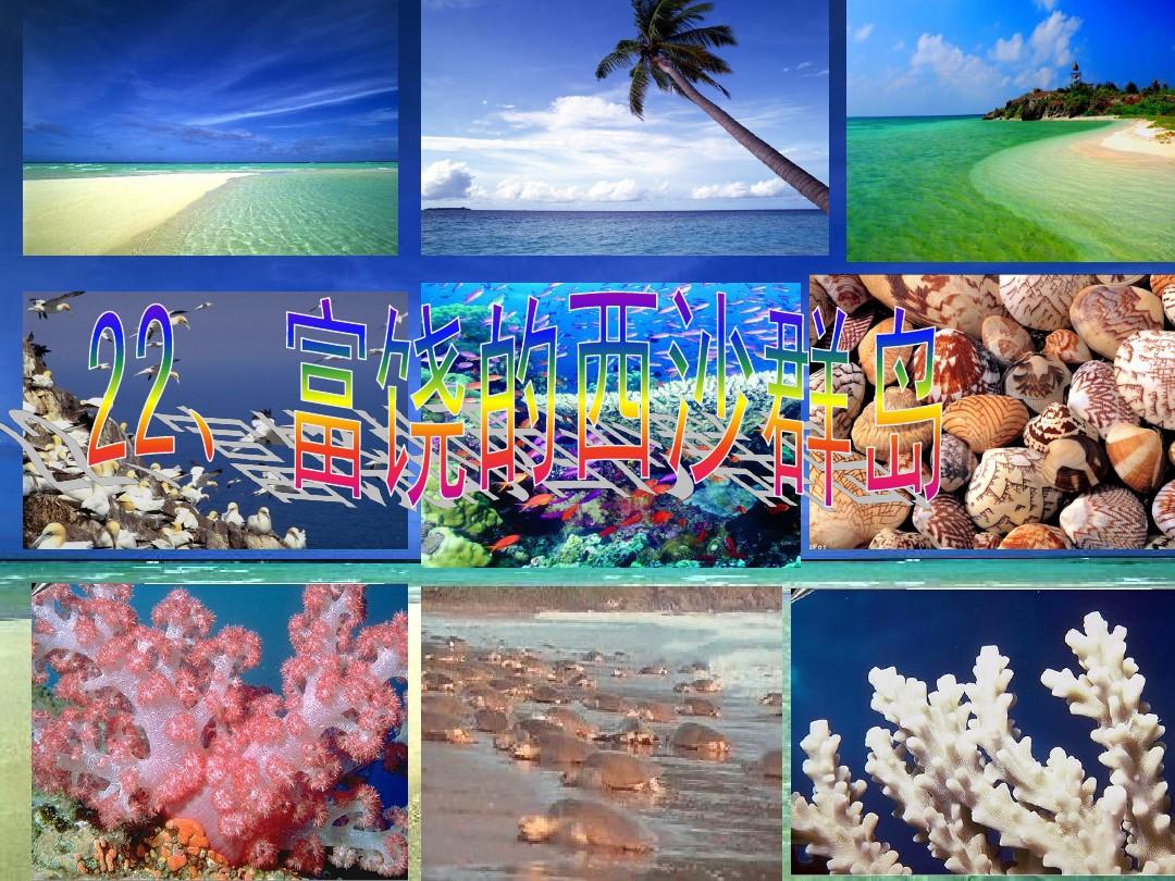 寫月牙河小學的小練筆_富饒的西沙群島小練筆_西沙永樂群島旅游