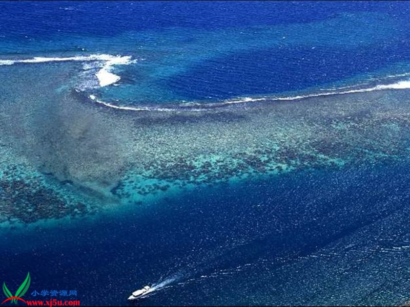 西沙永樂群島旅游_富饒的西沙群島小練筆_寫月牙河小學的小練筆