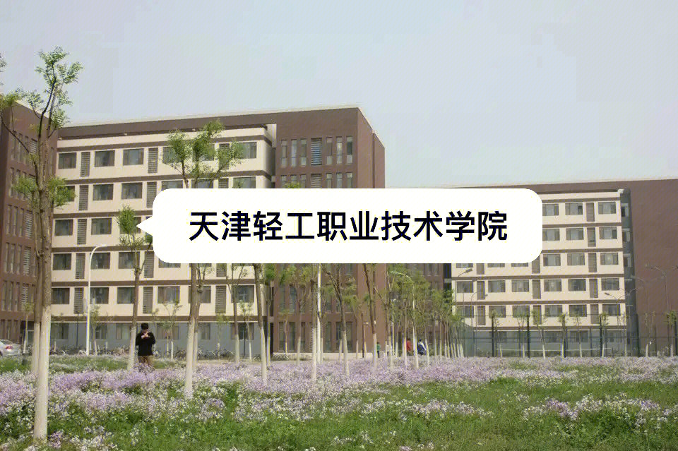 大學如何錄取相同分數的學生_錄取大學看的專業分數_天津大學2023年錄取分數線