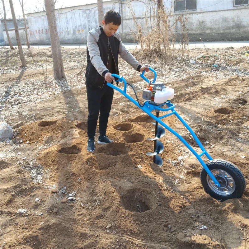 小學3年級作文植樹_植樹節(jié)看圖寫話二年級_一年級植樹看圖寫句