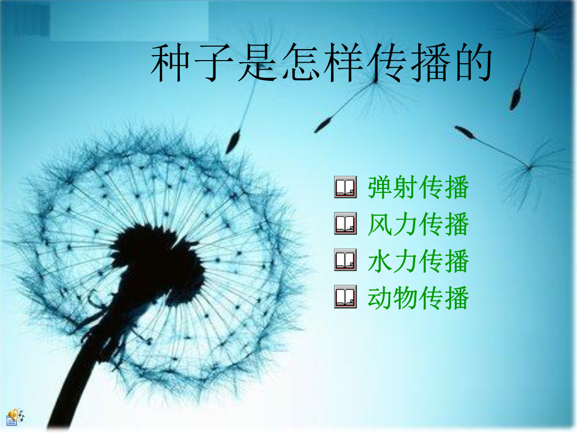 植物傳播種子的資料_種子傳播植物資料怎么寫_種子傳播植物資料大全