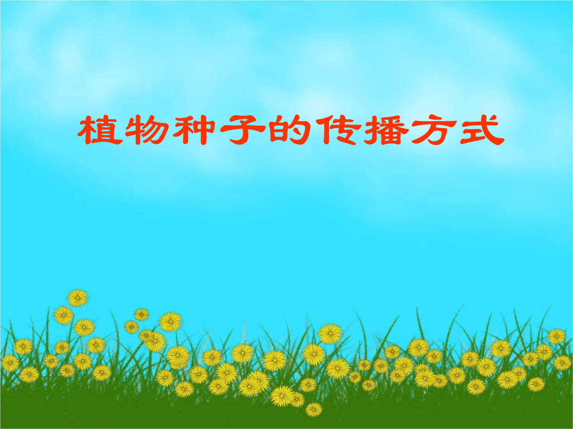 種子傳播植物資料怎么寫_種子傳播植物資料大全_植物傳播種子的資料