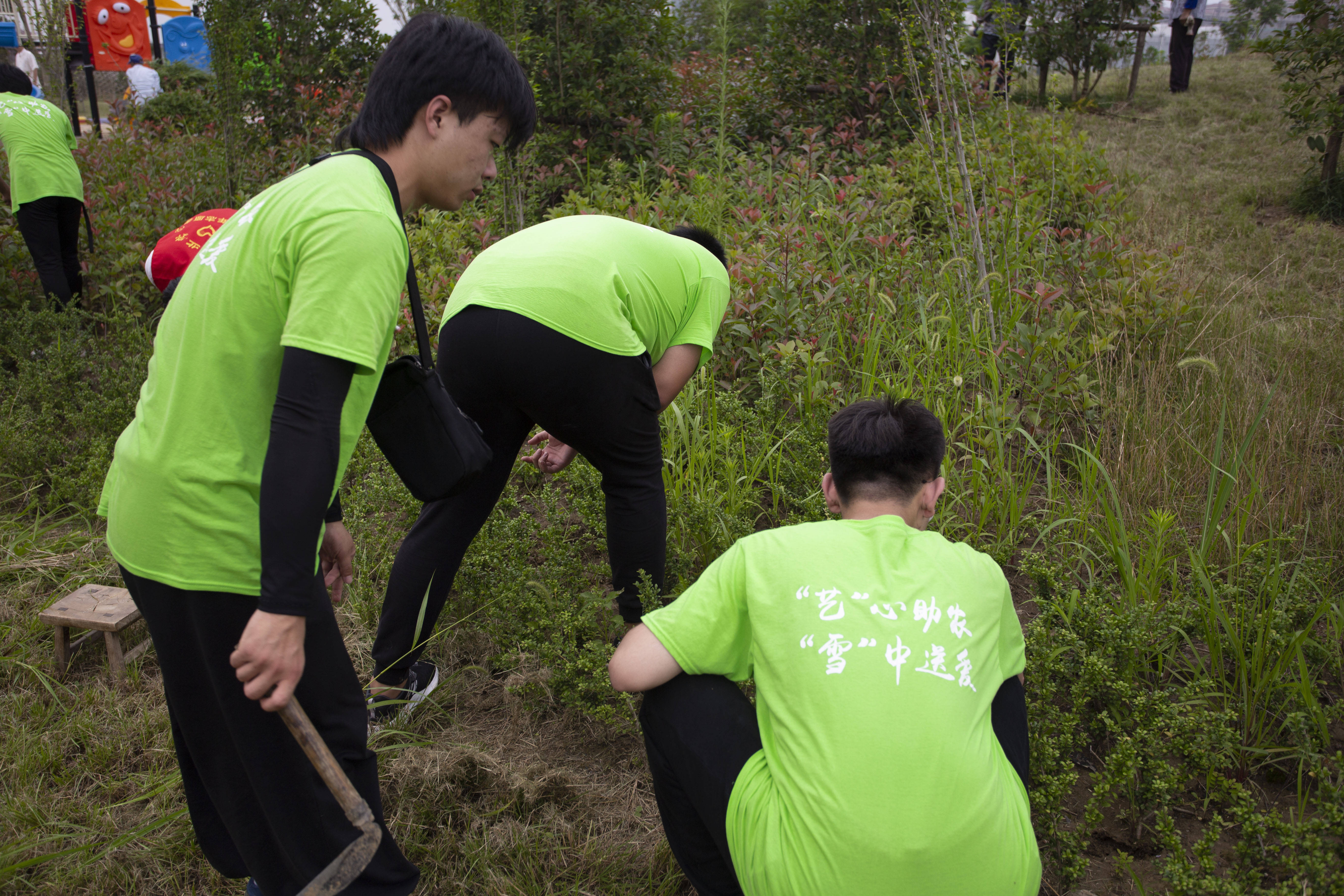 社會實踐策劃書怎么寫_暑期社會實踐策劃書_策劃暑期社會實踐活動