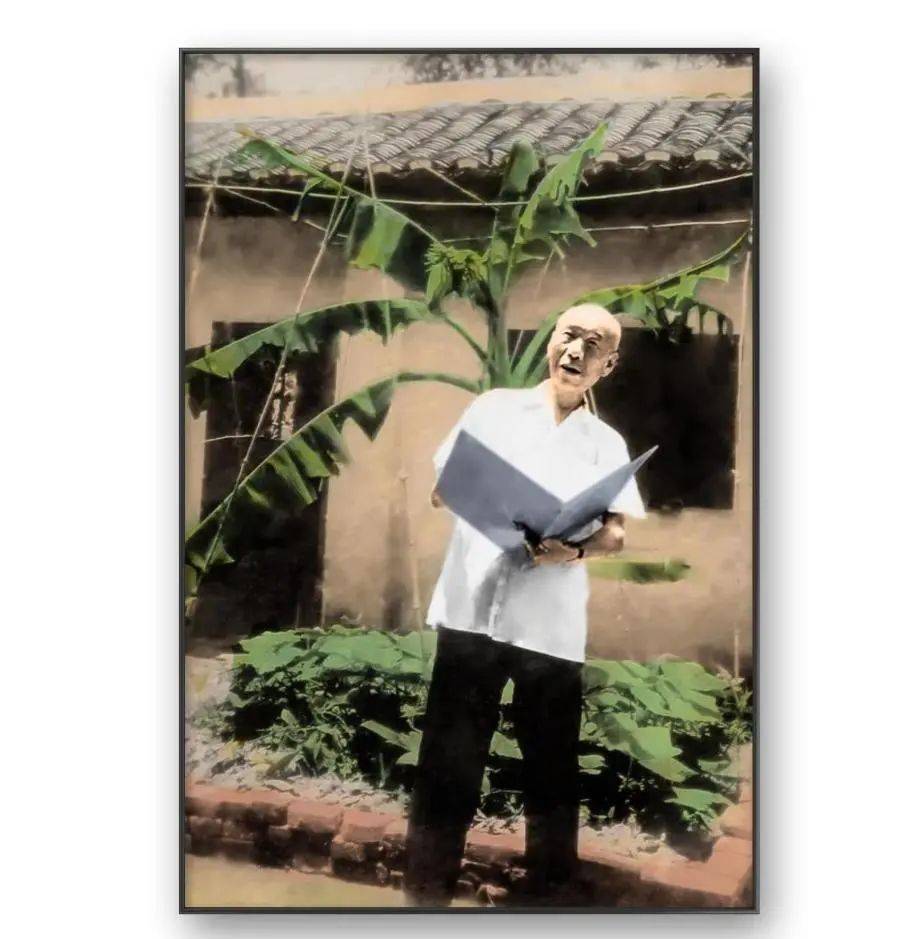 我的動物朋友作文400以上狗_人物動物交互狗AA作文_人物動物人狗互動文章