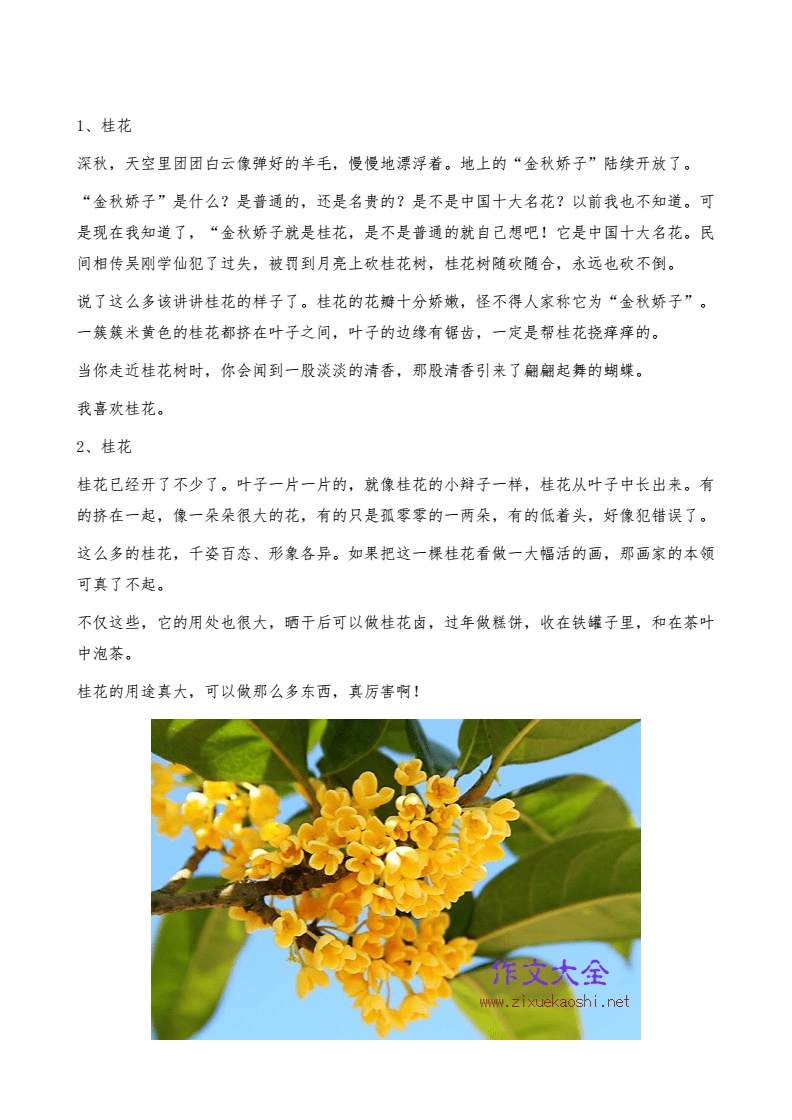 金秋十月 丹桂飄香_金秋十月丹桂飄香詩句的意思