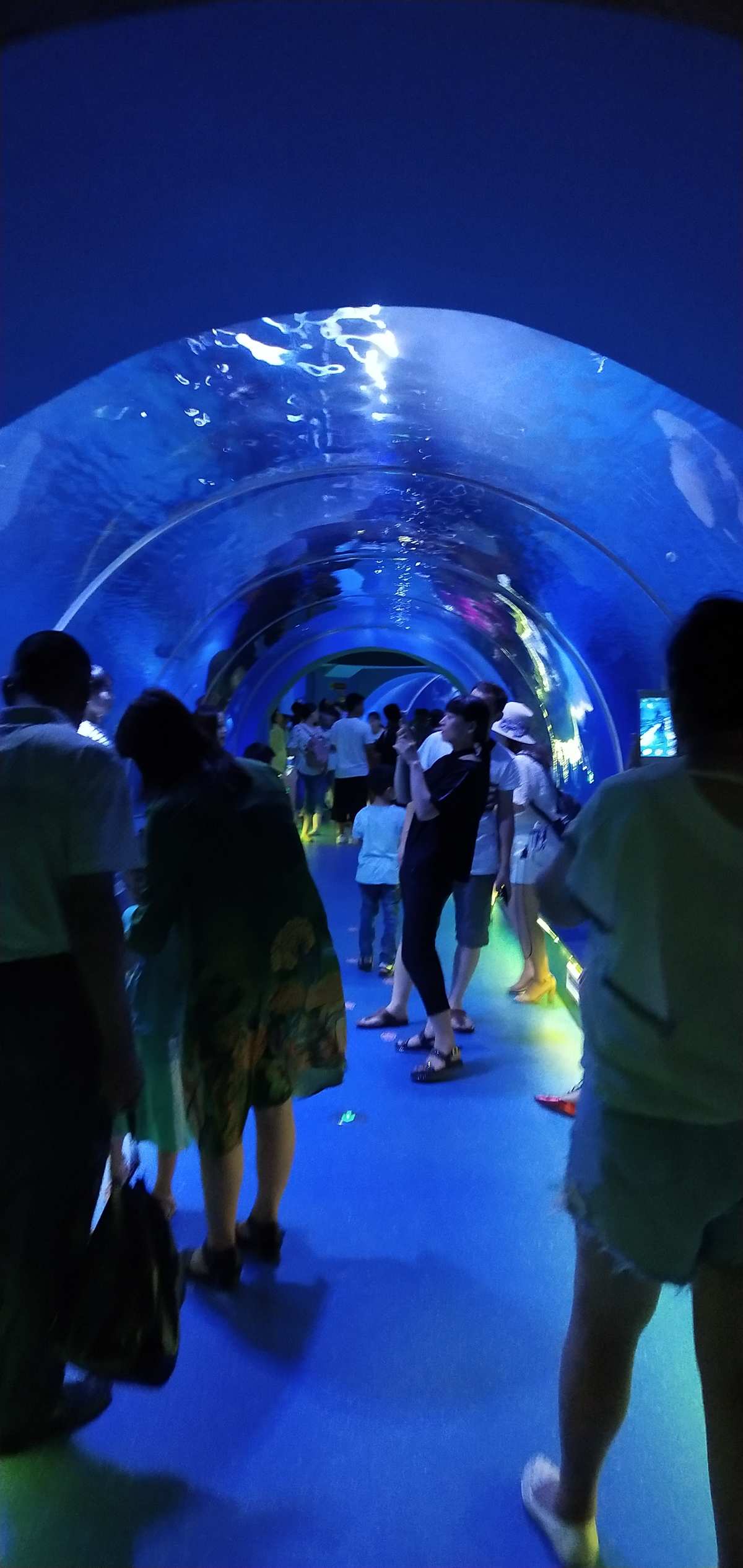 北京富國(guó)海底世界_北京富國(guó)海底世界官網(wǎng)_北京海底富國(guó)海世界