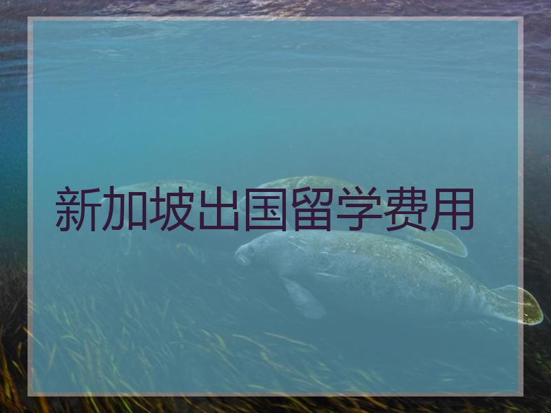 新西蘭出國留學費用研究生_新西蘭出國留學費用_新西蘭出國留學費用排名