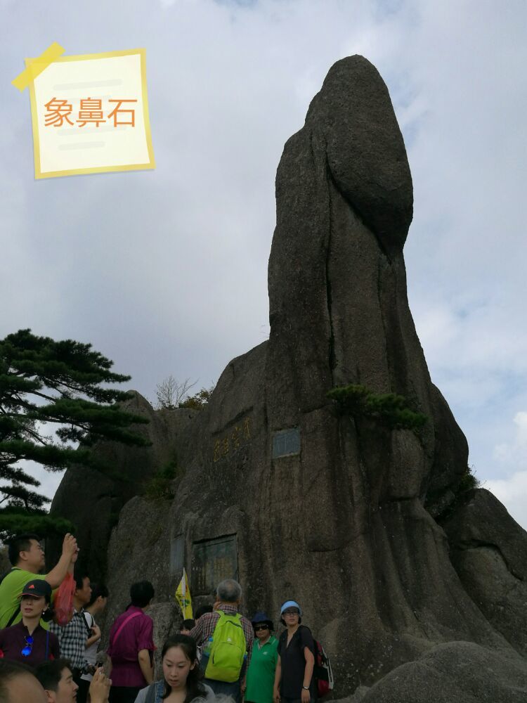 黃山奇石仙女彈琴_黃山仙女彈琴奇石的簡筆畫圖片_黃山仙女彈琴奇石照片