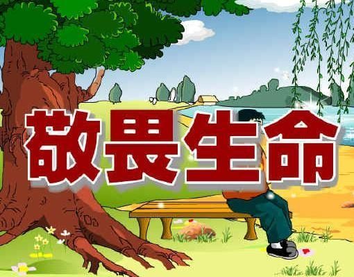 漠視也是一種關懷主要內容_漠視也是一種關懷閱讀理解答案_漠視也是一種關懷