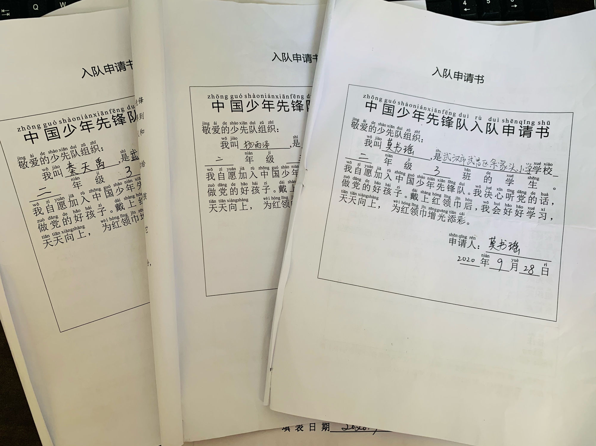 入隊申請書正確格式_入隊申請書級別怎么寫_入隊申請書一年級