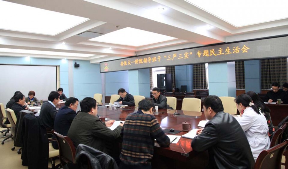 三嚴三實黨小組生活會_三嚴三實民主生活會發言_三嚴三實專題組織生活會