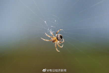 澳大利亞下雪_澳大利亞下雪_澳大利亞下雪